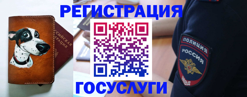 временная регистрация в квартире в Алейске